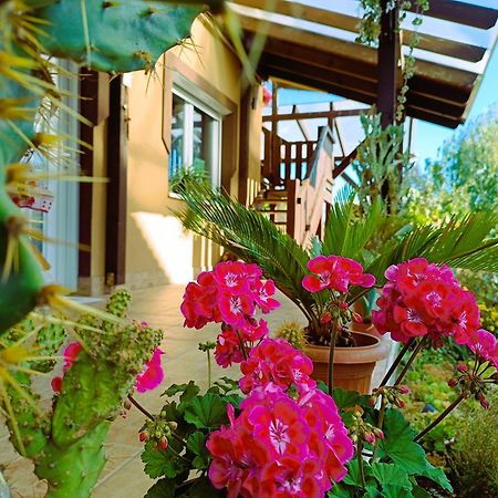 Holt-Tisza Vendeghaz Hotel Szeged Ngoại thất bức ảnh