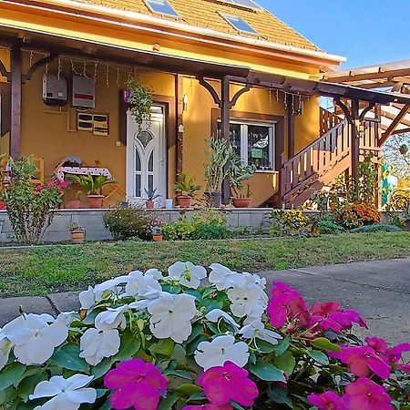Holt-Tisza Vendeghaz Hotel Szeged Ngoại thất bức ảnh