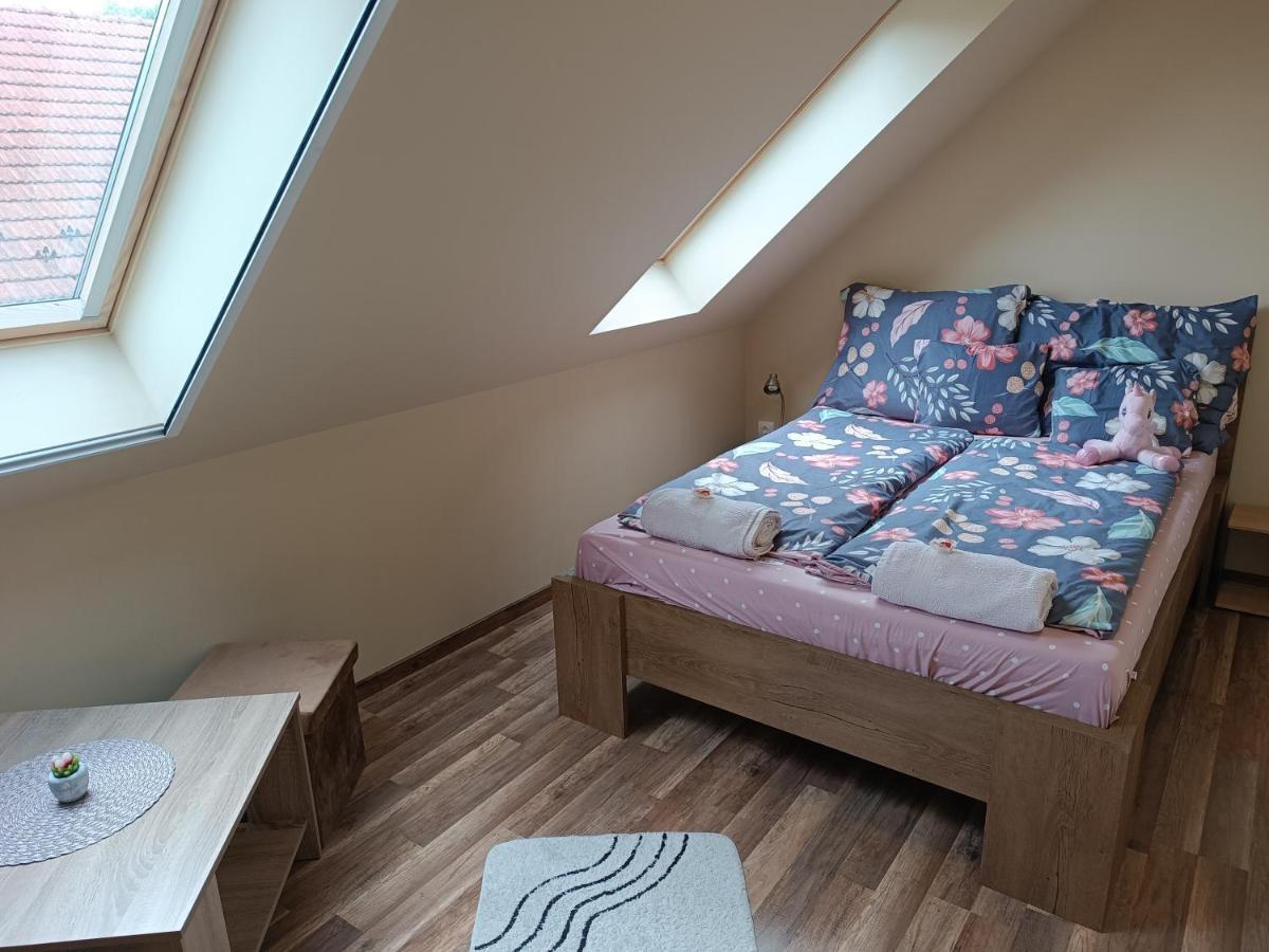Holt-Tisza Vendeghaz Hotel Szeged Ngoại thất bức ảnh