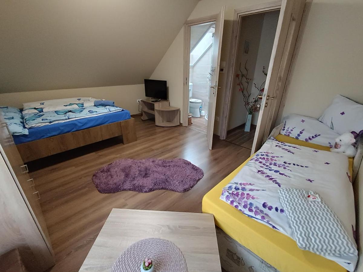 Holt-Tisza Vendeghaz Hotel Szeged Ngoại thất bức ảnh