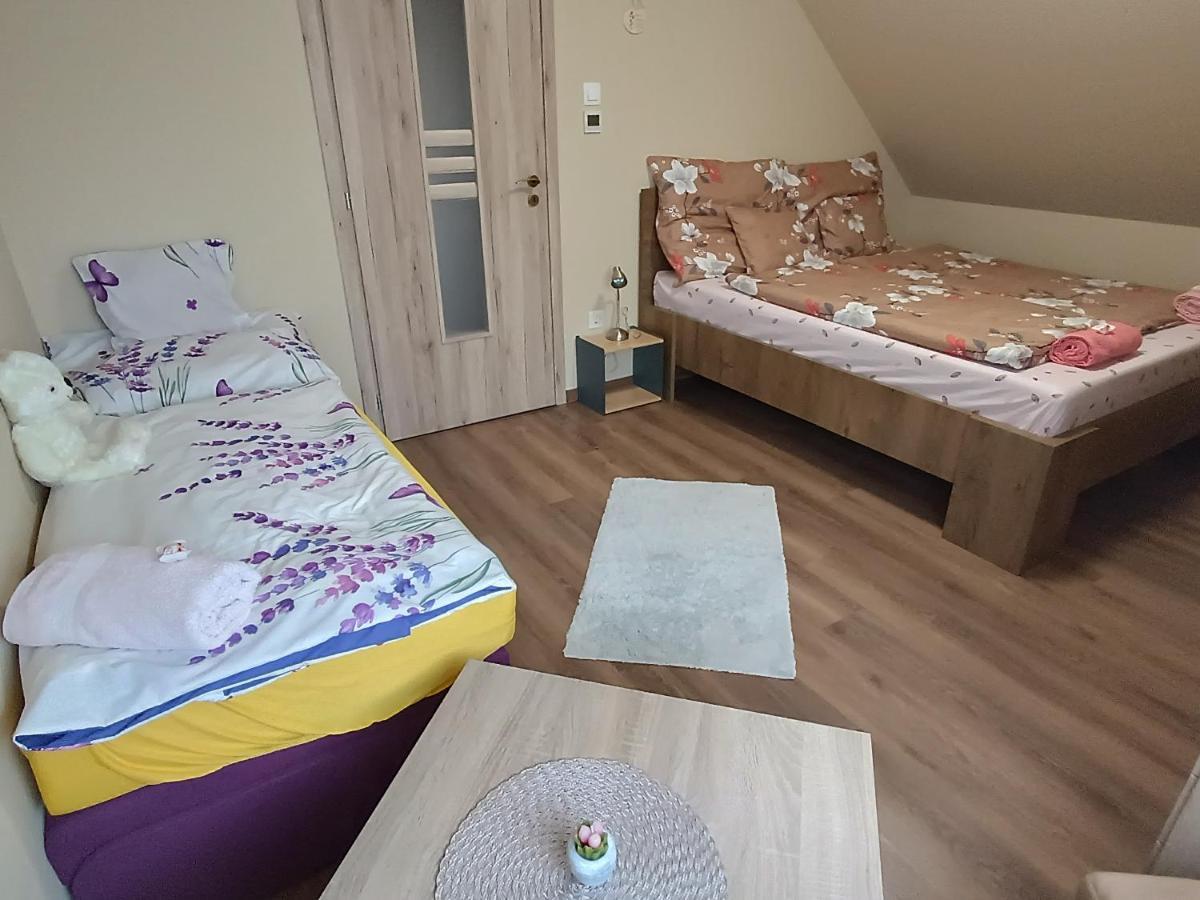 Holt-Tisza Vendeghaz Hotel Szeged Ngoại thất bức ảnh
