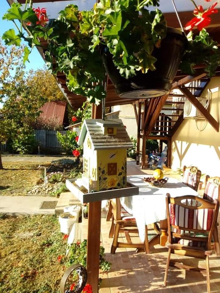 Holt-Tisza Vendeghaz Hotel Szeged Ngoại thất bức ảnh