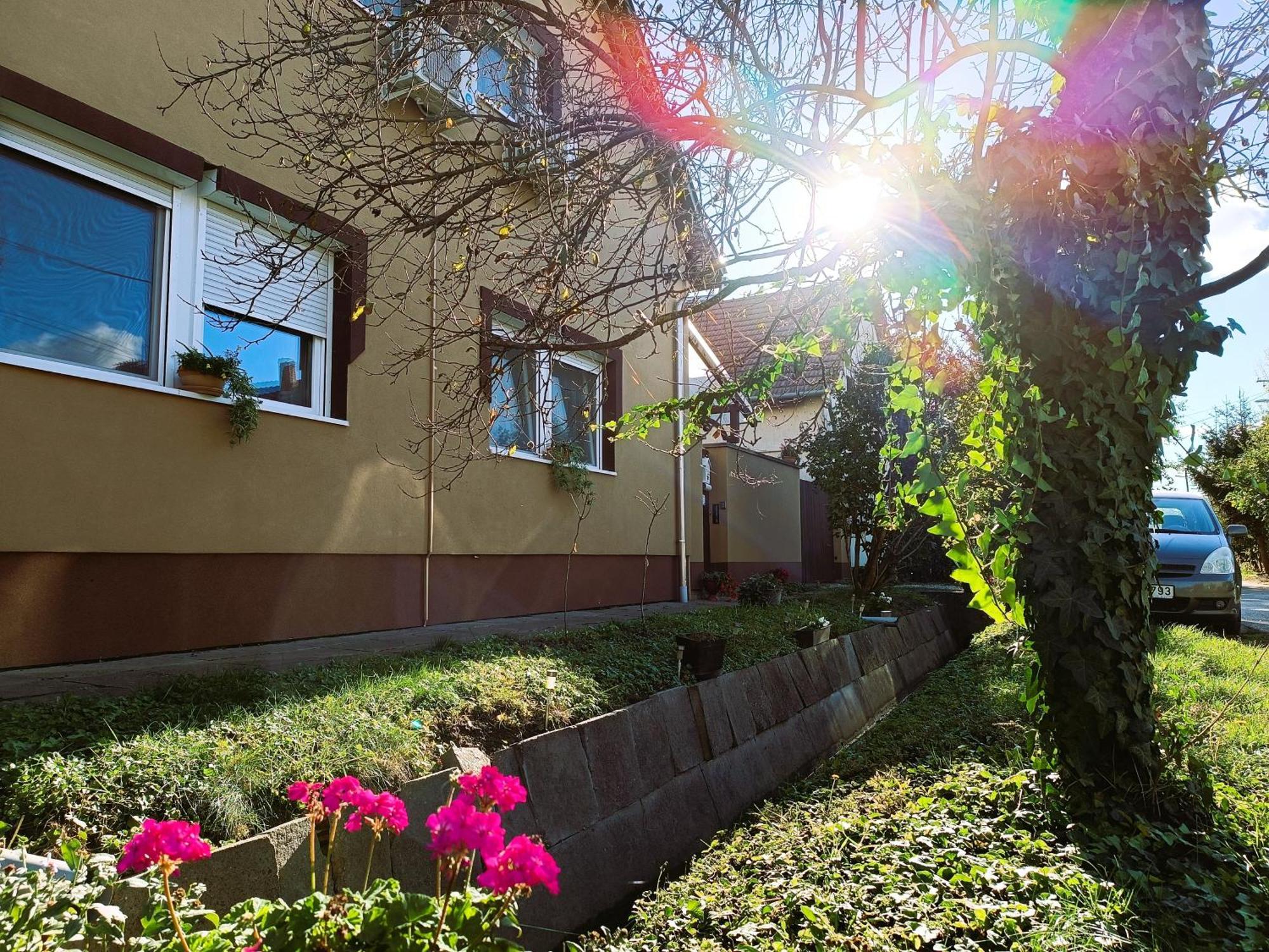 Holt-Tisza Vendeghaz Hotel Szeged Ngoại thất bức ảnh